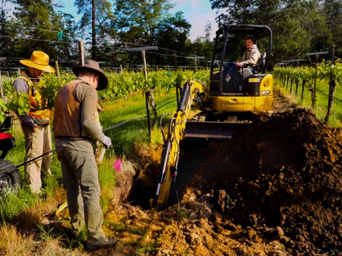  Dr. Nick Madden,&nbsp; Dr. Paul Anamosa &nbsp;and our&nbsp; biodynamic consultant Andrew Beedy &nbsp;digging a soil pit in our block of zinfandel planted in 1987 