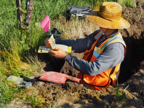 Analyzing soil color