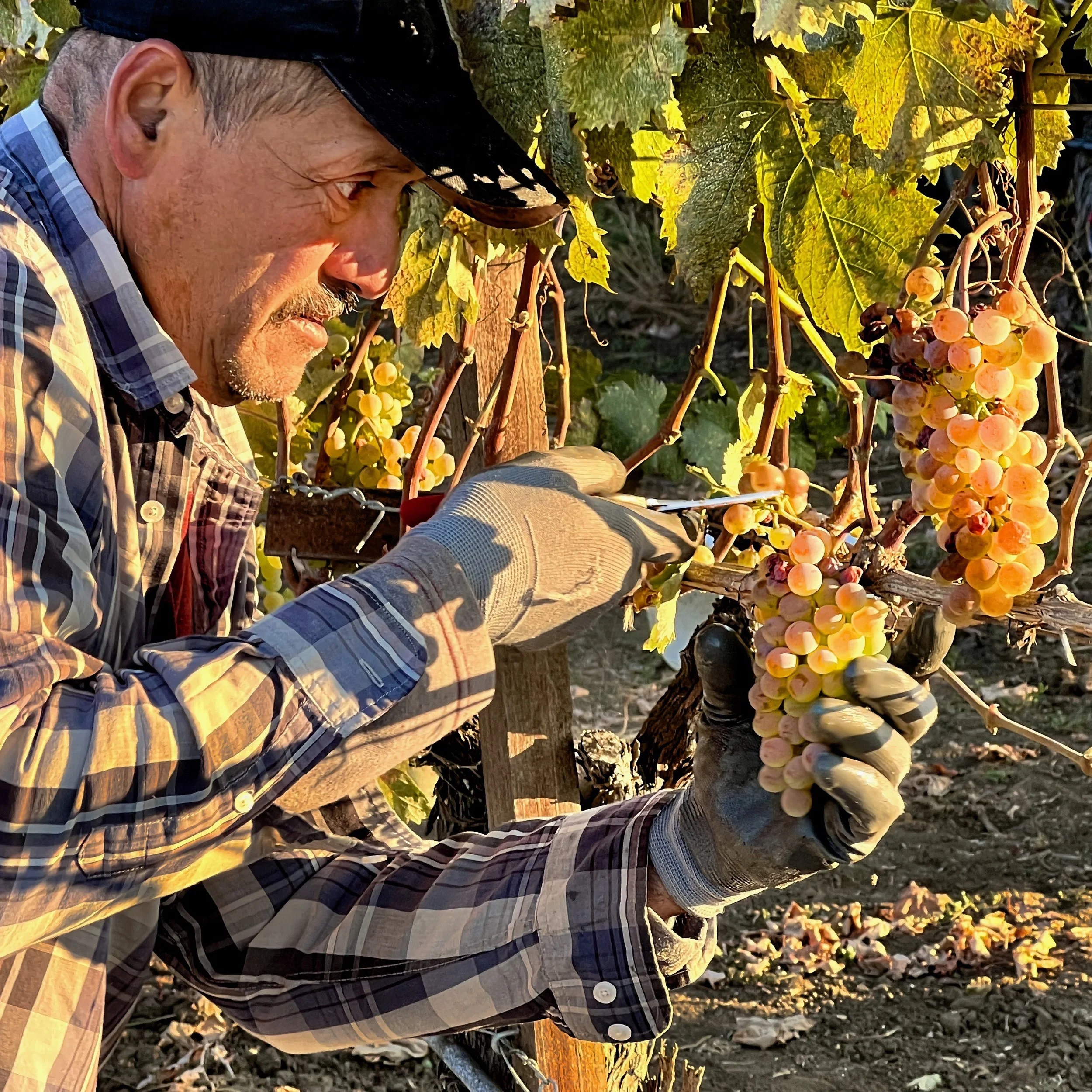 Talking Soil with Farmer Garett Long
