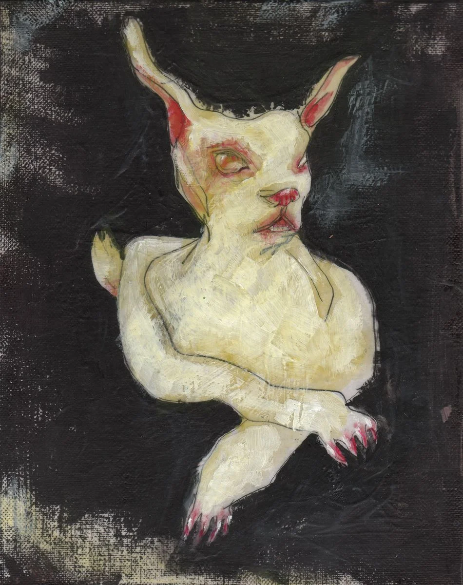 Rabbit