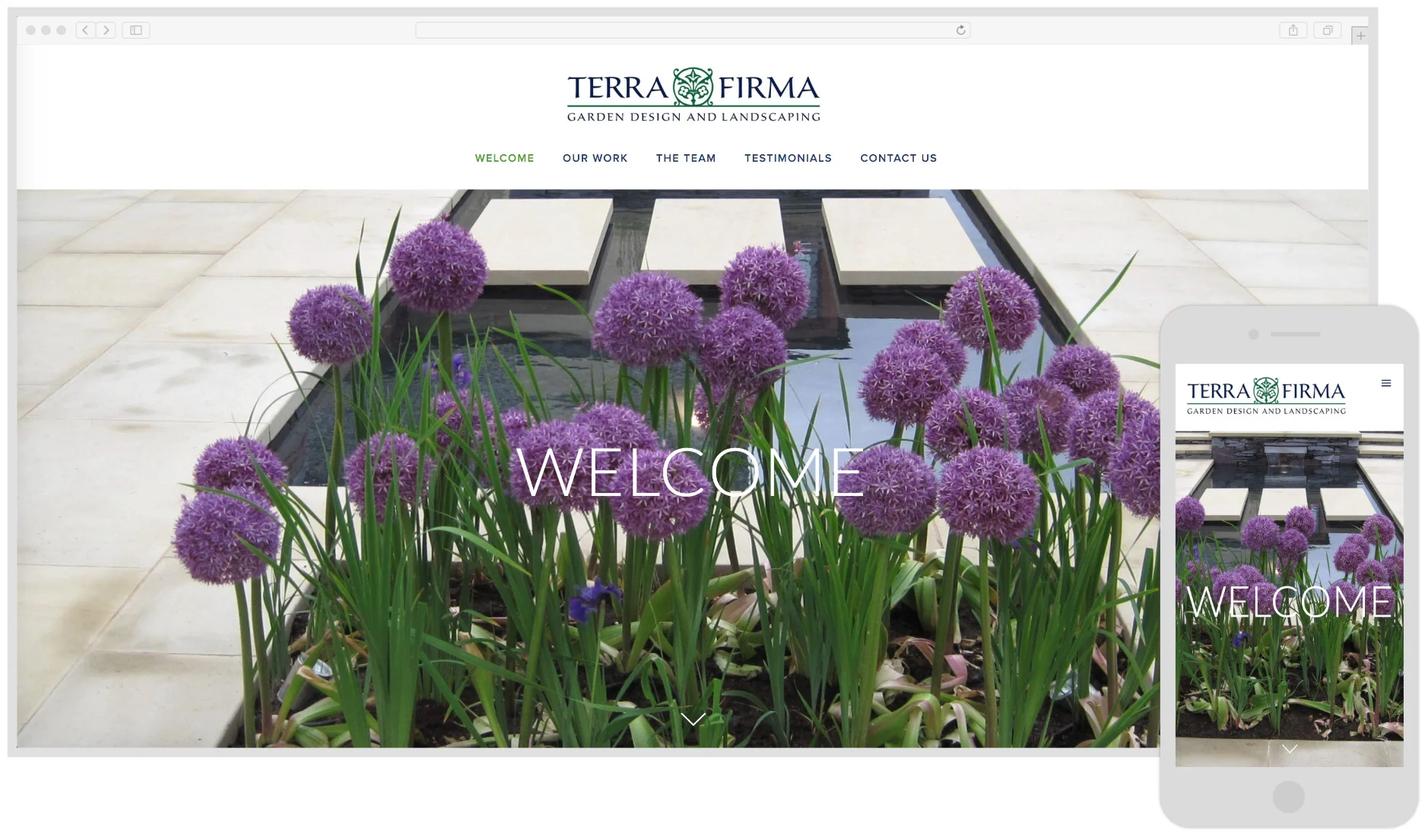 Terrafirma-1.jpg
