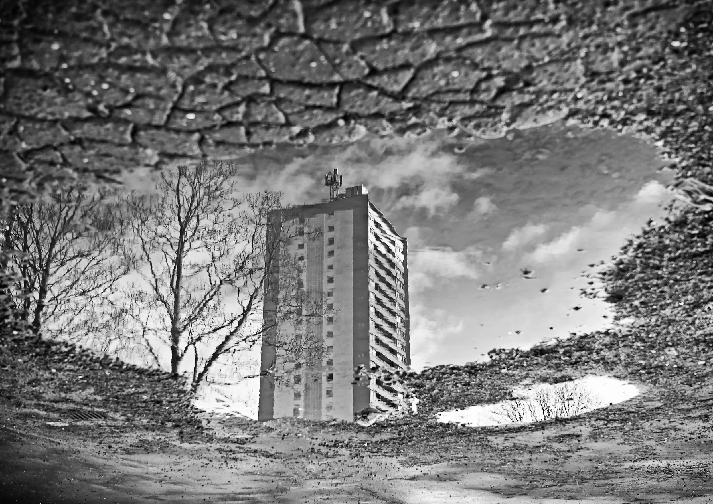 Shop Maryhill Is Wonderful 1