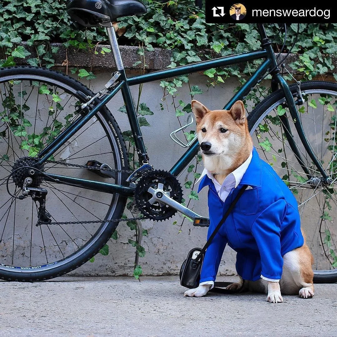 #Repost @mensweardog
・・・
In loving tribute to Bill Cunningham, the OG street style spectator. Your presence, photographs and infectious smile will be missed immensely. Thank you for living your passion.
#BillCunningham http://ift.tt/28XnQuH