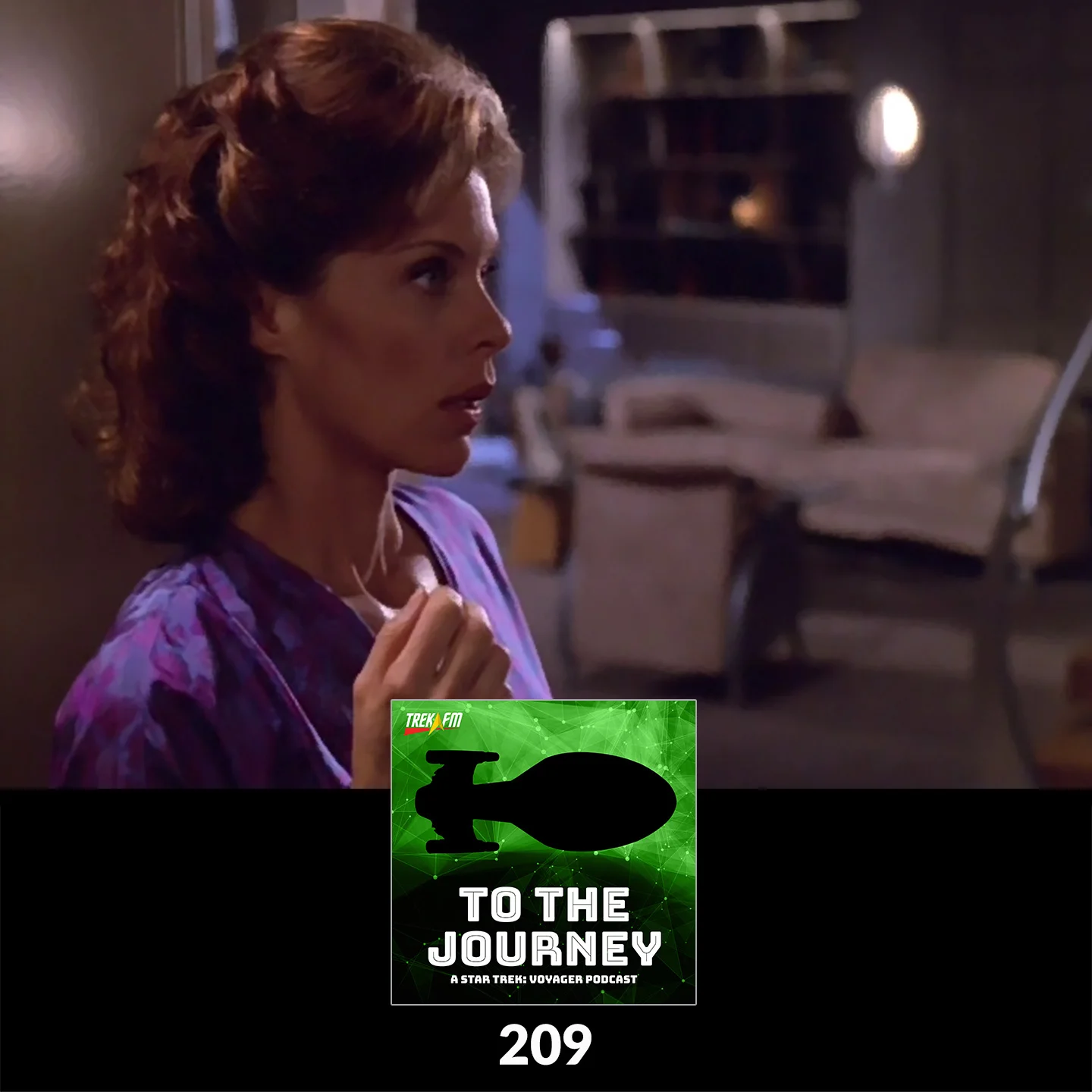 To The Journey 209: You Know When You've Been Chakotay'd
