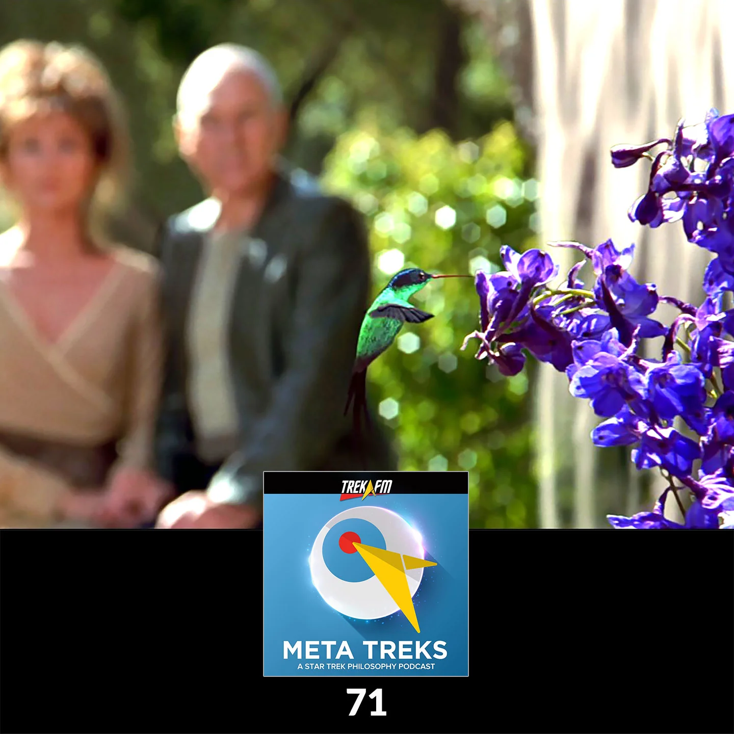 Meta Treks 71: Borg Butterfly Effect