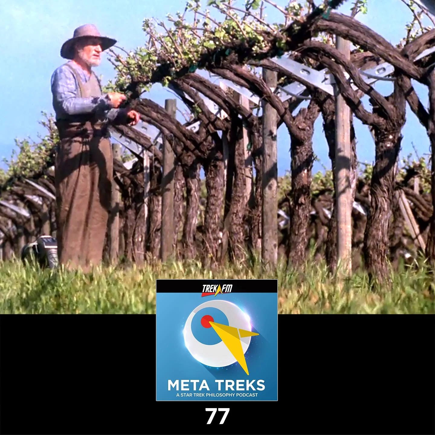 Meta Treks 77: Stewards of the Continuum
