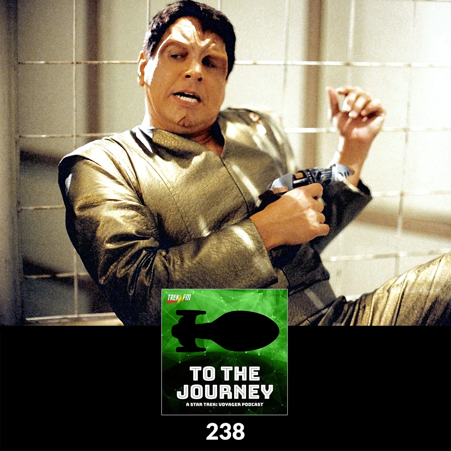To The Journey 238: Chakotay Is Carol