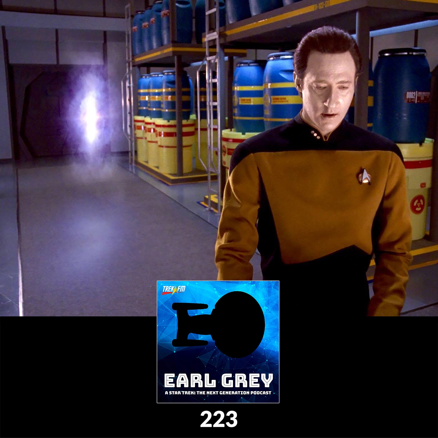 Earl Grey 223: Triangle Shaped Pillows
