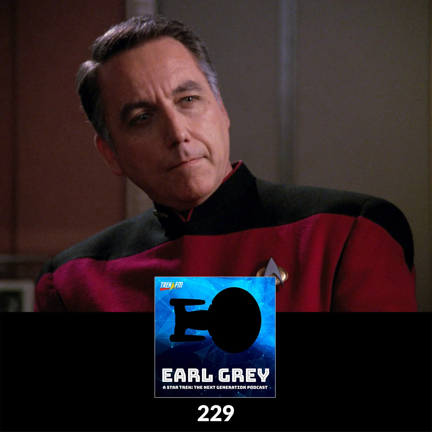 Earl Grey 229: Repurposed Leather Couches