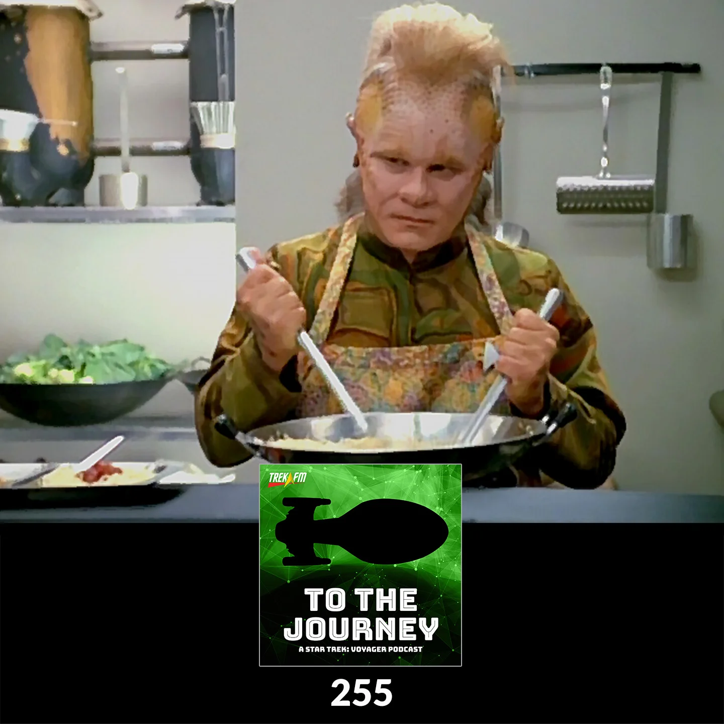 To The Journey 255: You're Such a Negative Neelix