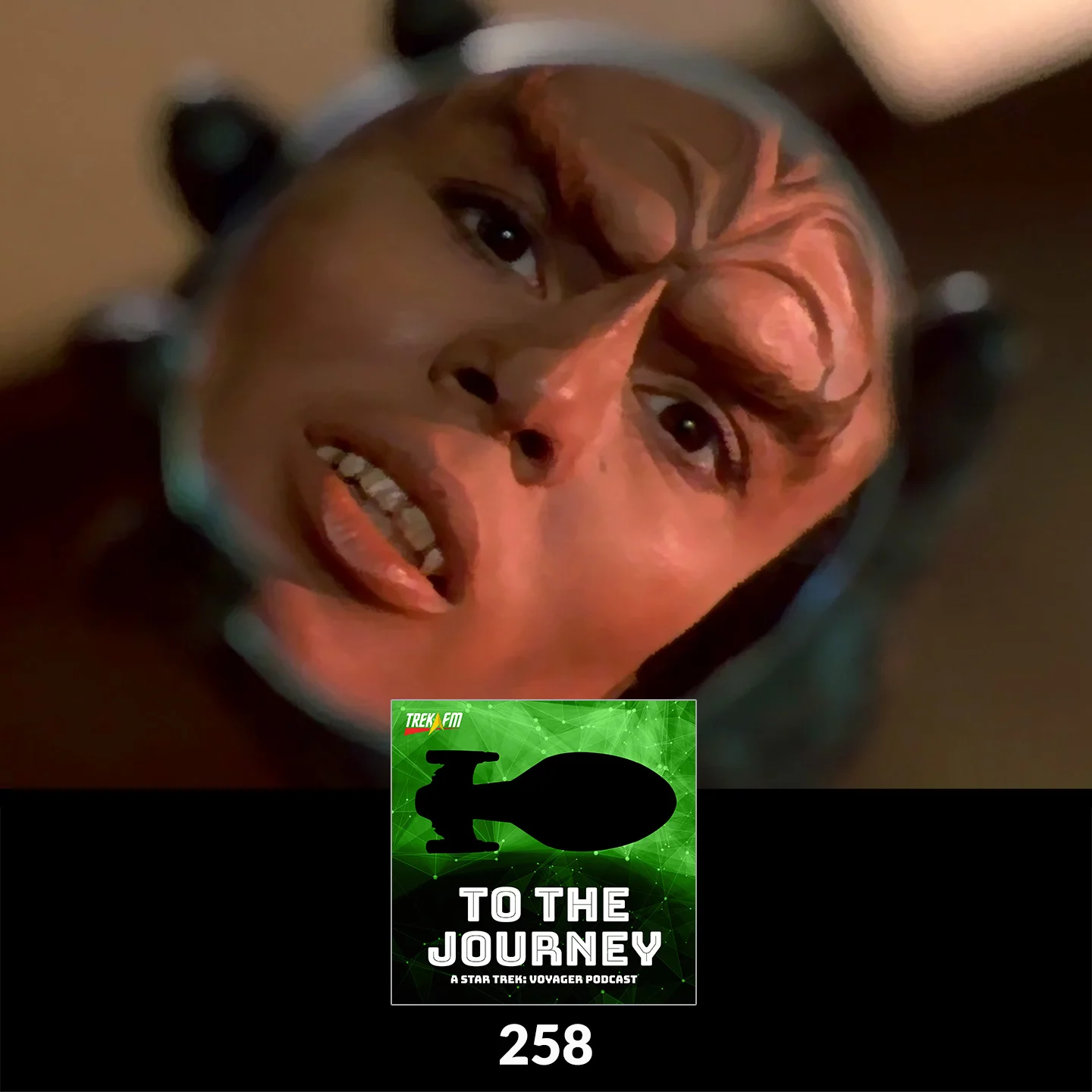 To The Journey 258: Macro-Micro Mitosis