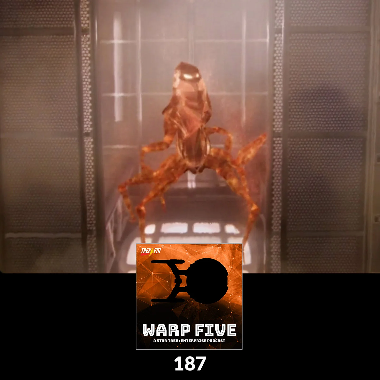 Warp Five 187: I Got Some Head Cannon