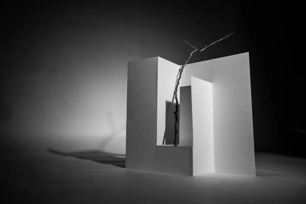 project.1.2015 (59 of 59).jpg