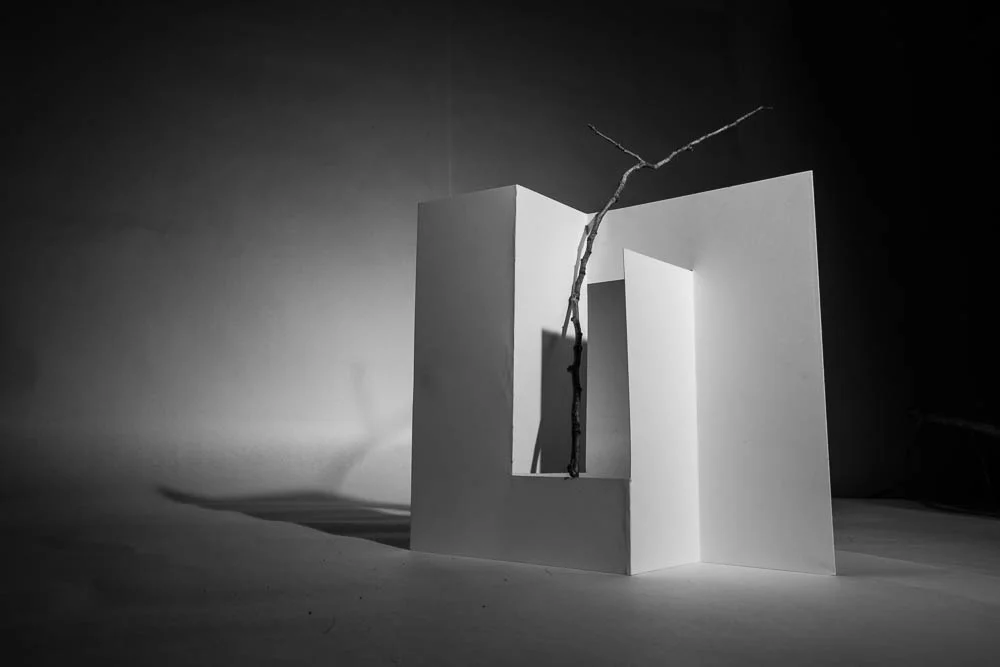 project.1.2015 (58 of 59).jpg