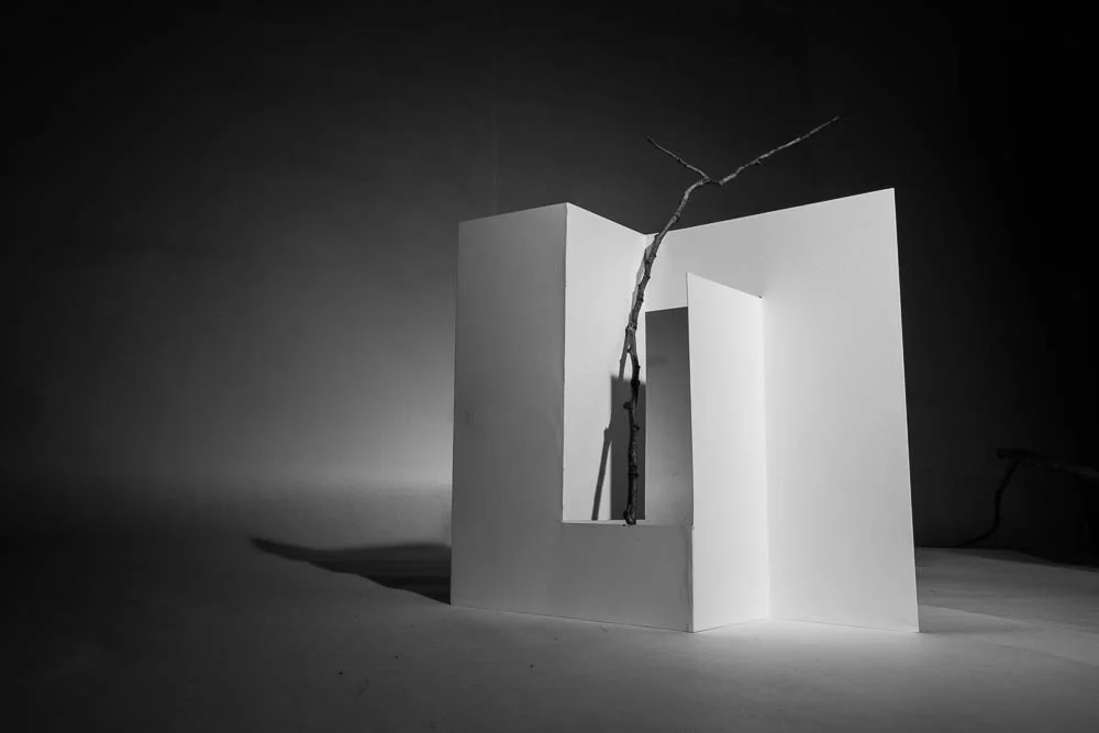 project.1.2015 (57 of 59).jpg