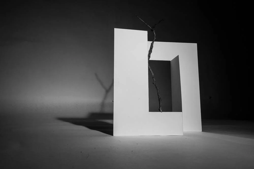 project.1.2015 (56 of 59).jpg