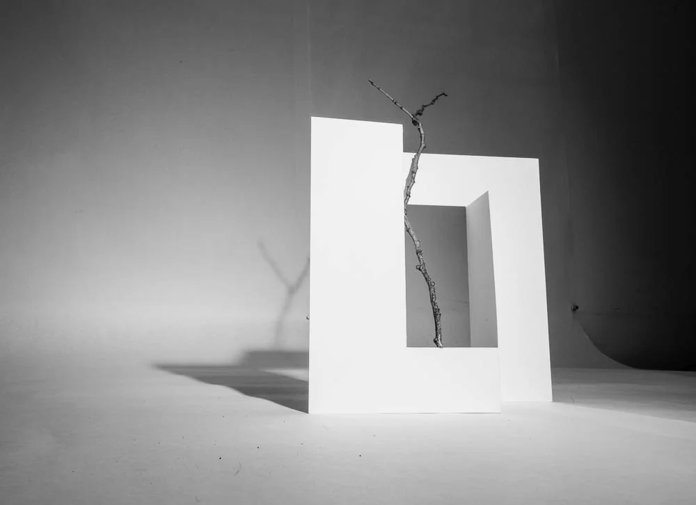 project.1.2015 (55 of 59).jpg