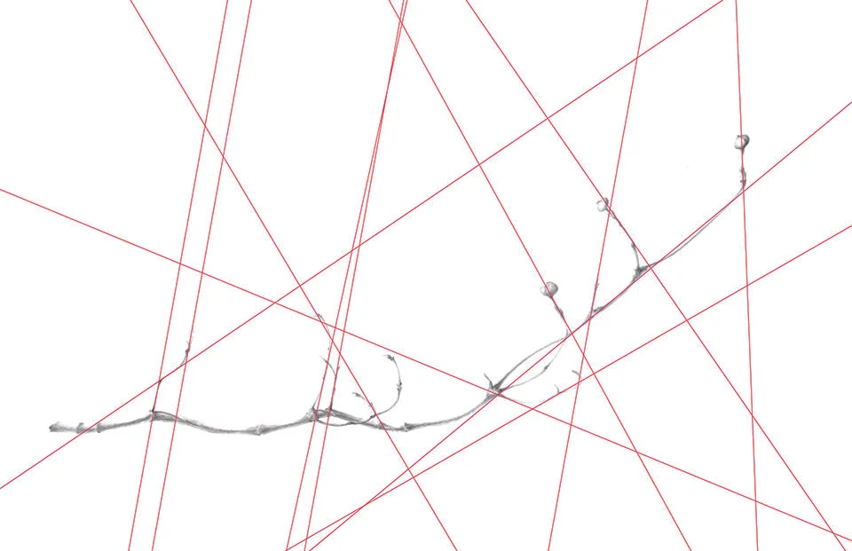 Free sketch color lines that represent the linear vectors of the limb. Draw all vectors edge to edge on your paper.&nbsp;