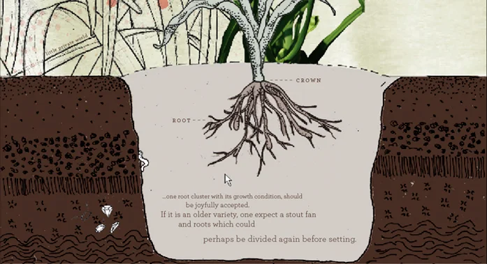   Wireframe 3 : Root Level   
