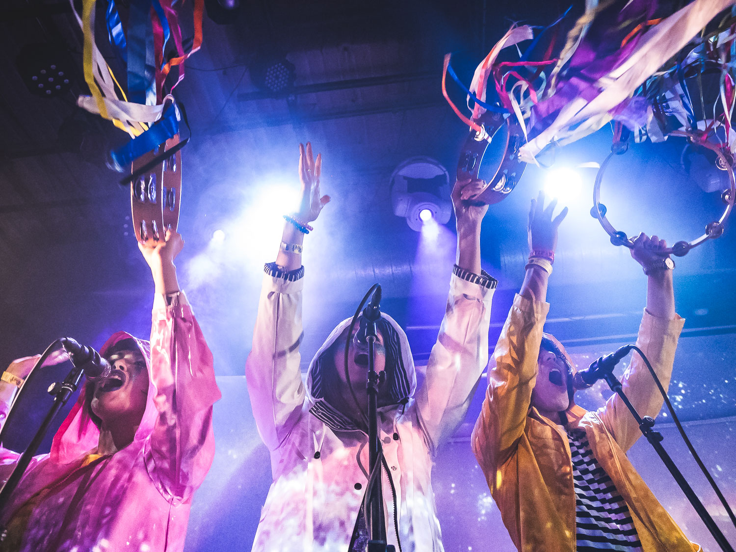 Superorganism