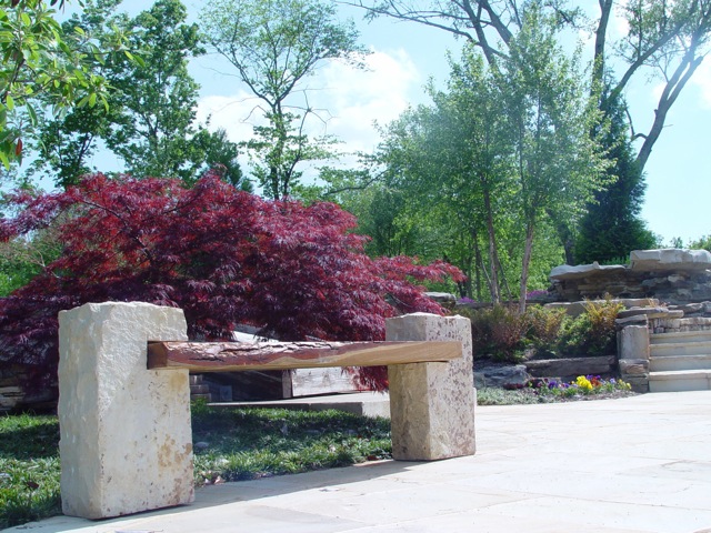 sassafras_gallery11.jpg