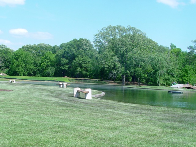 sassafras_gallery12.jpg