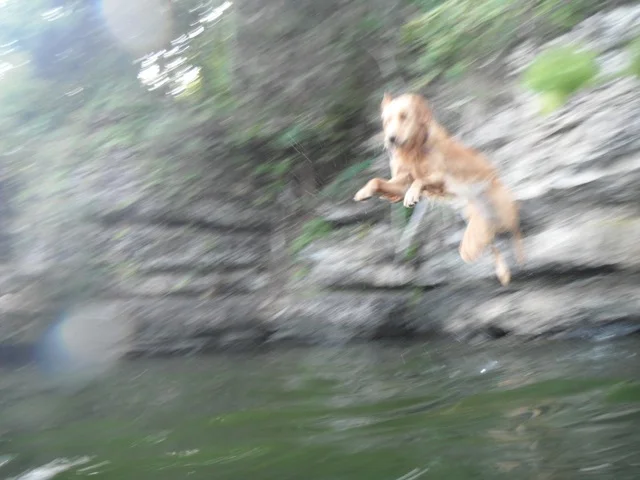 frassie-river-pics-gallery-31.jpg