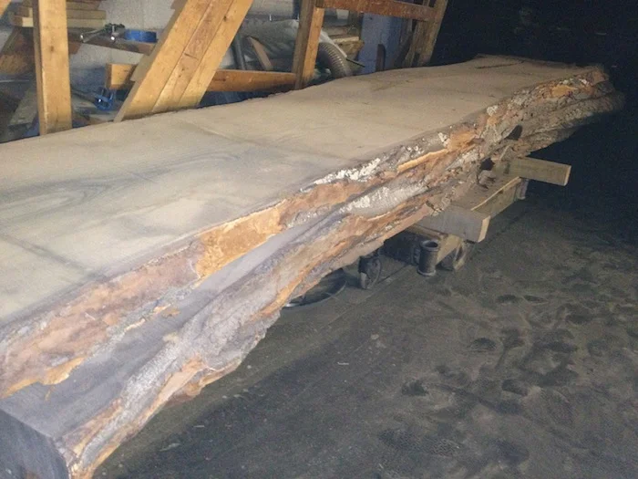 Huge 12' Sassafras Slabs