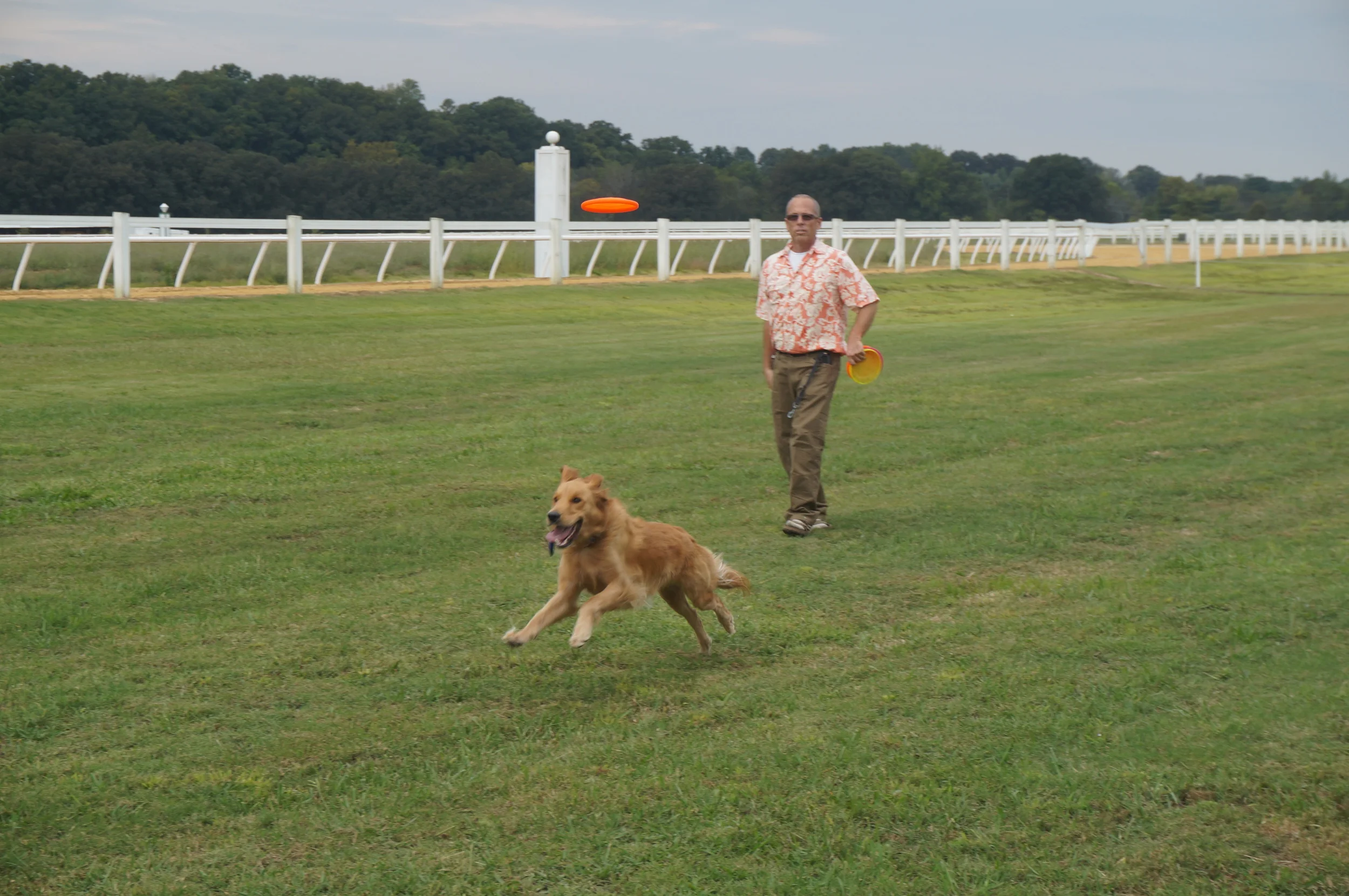 frassie-robin-polo-frisbee.JPG