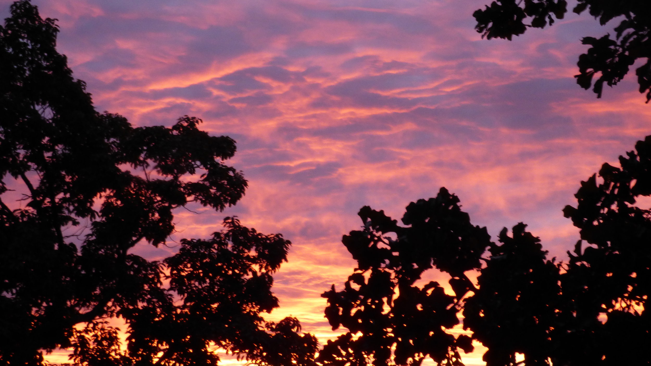 sky-top-red-sky-10-1511.jpg