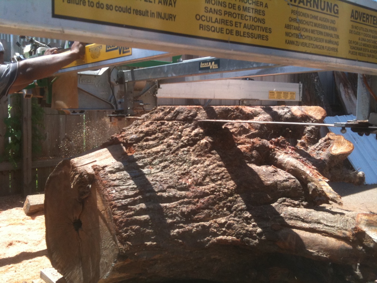 walnut-stump-sawmill 4096 copy.jpg