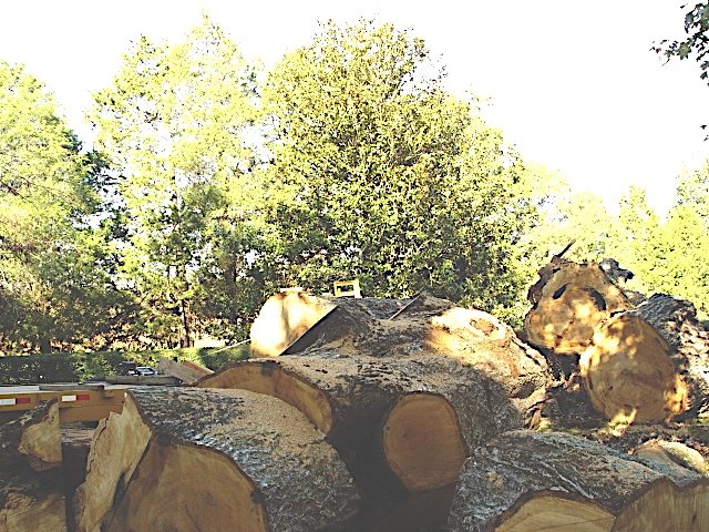 bartonhallslideshow06.jpg