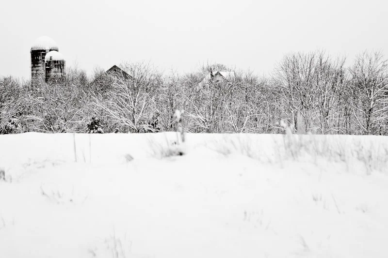 B&W: local farm after snow storm