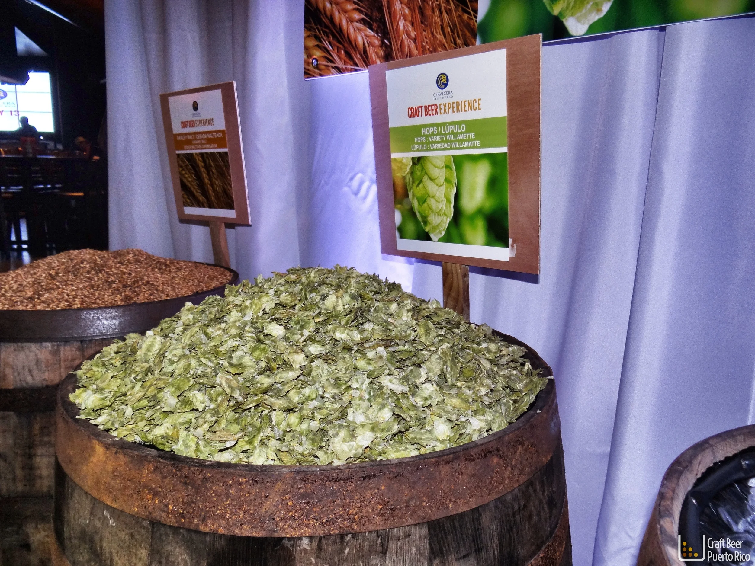 CraftBeerExperience-07-2013-2.jpg