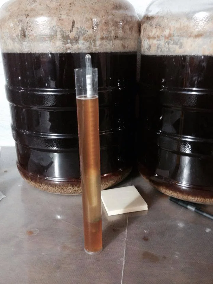 Demolición Strong Ale en "Primary" - Imagen: Boxlab Brewing Company