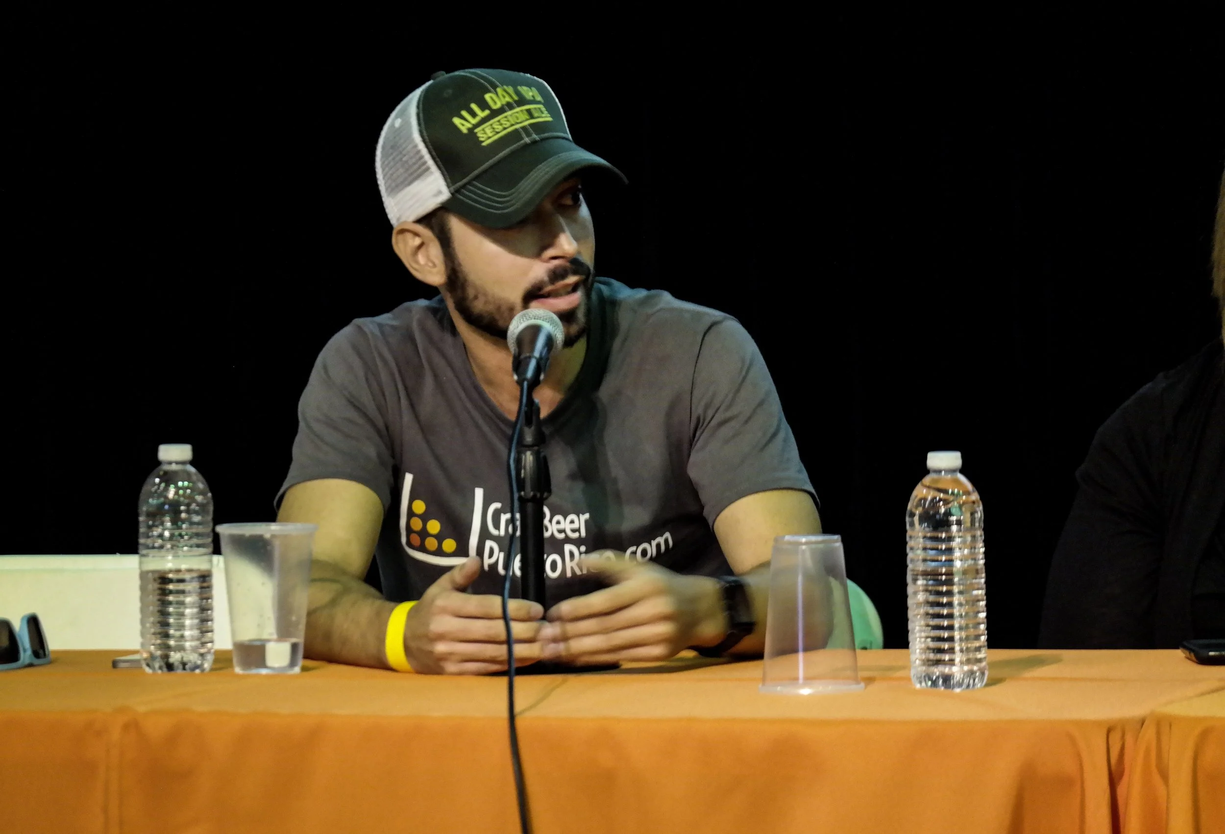 Gustavo Franceschini - Panel del PR BloggerCon 2015