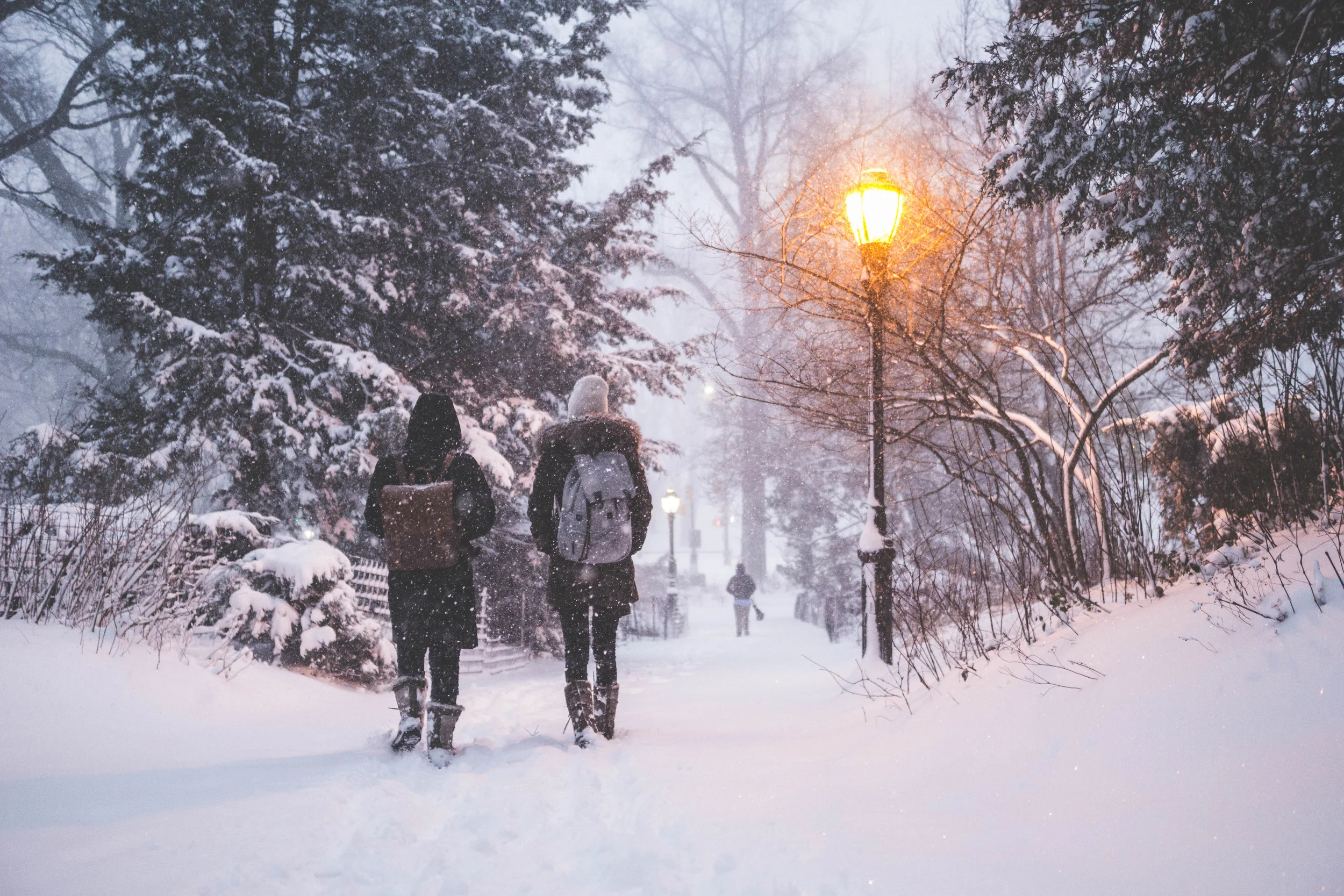2016 Snowzilla in New York