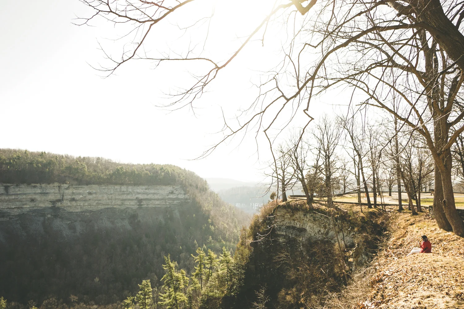 Roadtrips and Rochester