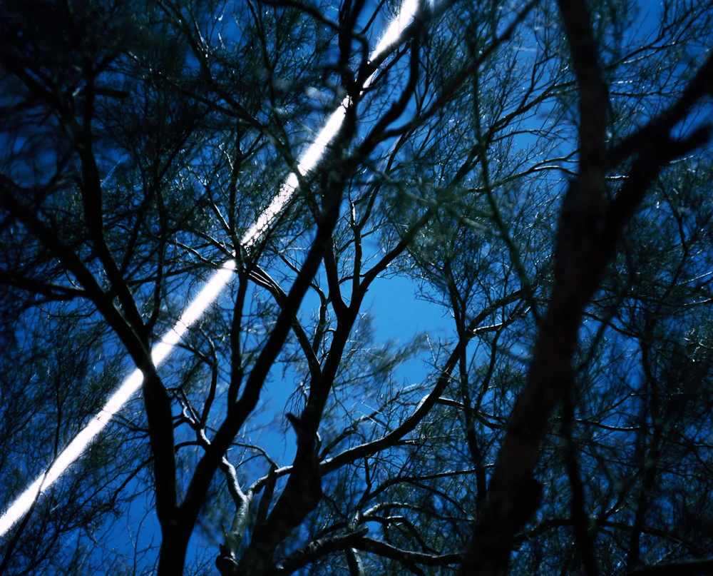 Sleeping Under a Palo Verde, Barry M. Goldwater “Bombing” Range, Arizona, 2006