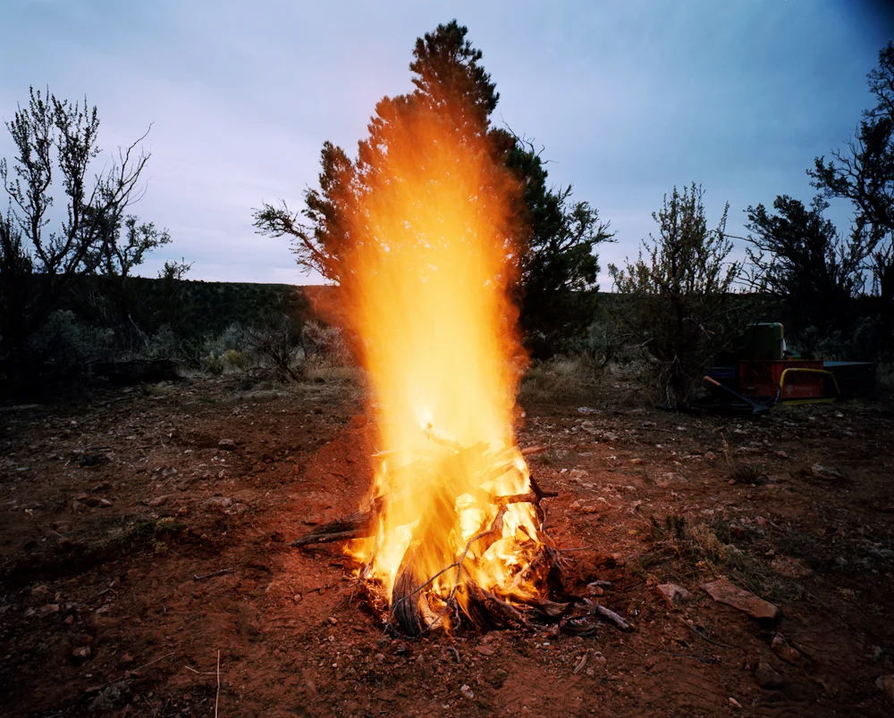 Unbound, Kaibab National Forest, Arizona, 2006