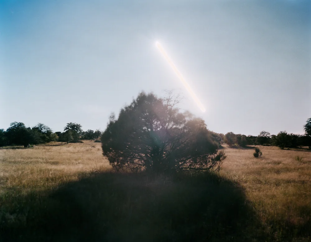 One Hour, Juniper Tree, Animas Valley, New Mexico, 2011