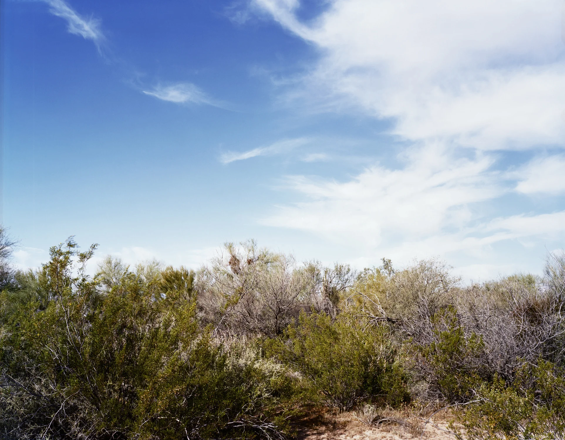  Intermediary Zone, Near Ajo, Arizona, 2012 