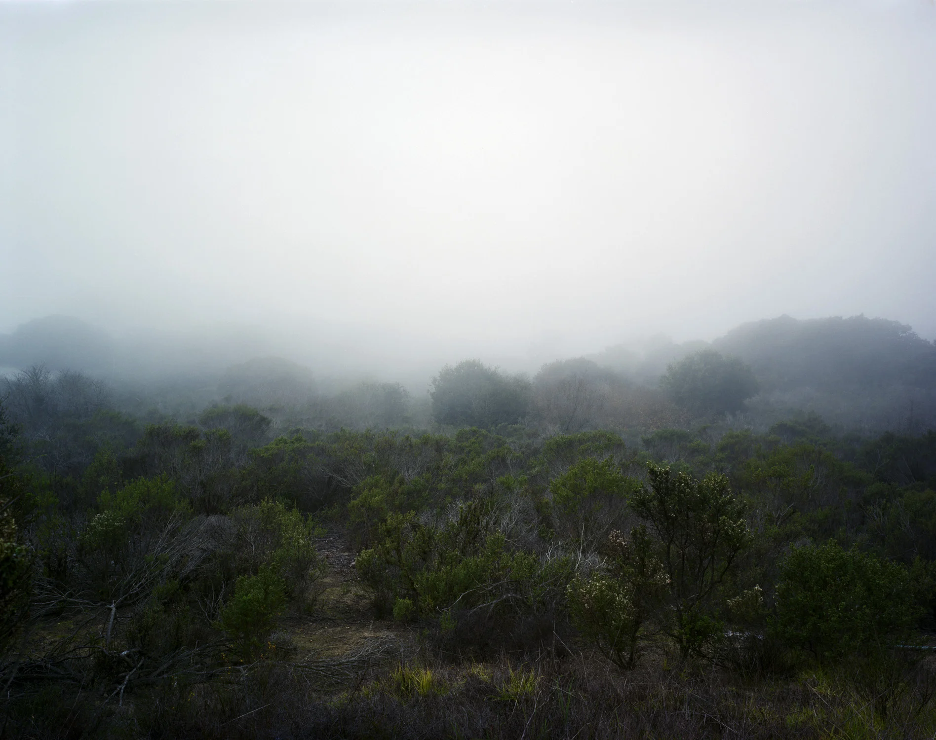  Distillation, Near Prunedale, California, 2011 