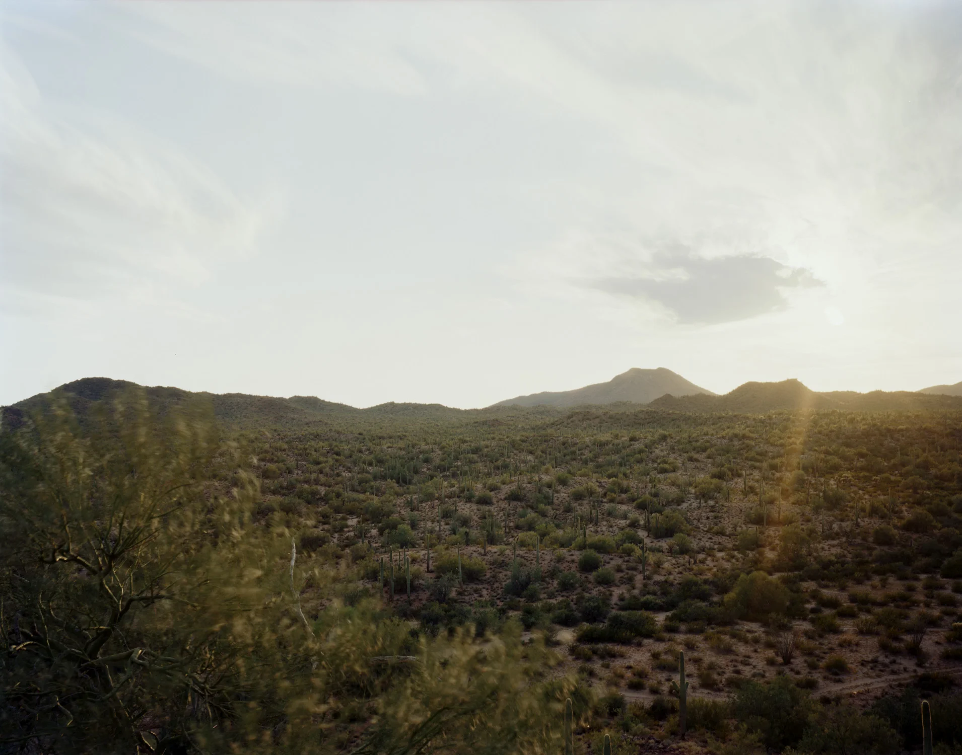 Sun Stretch, 13 Minutes, Tohono O'odham Nation, Arizona, 2012