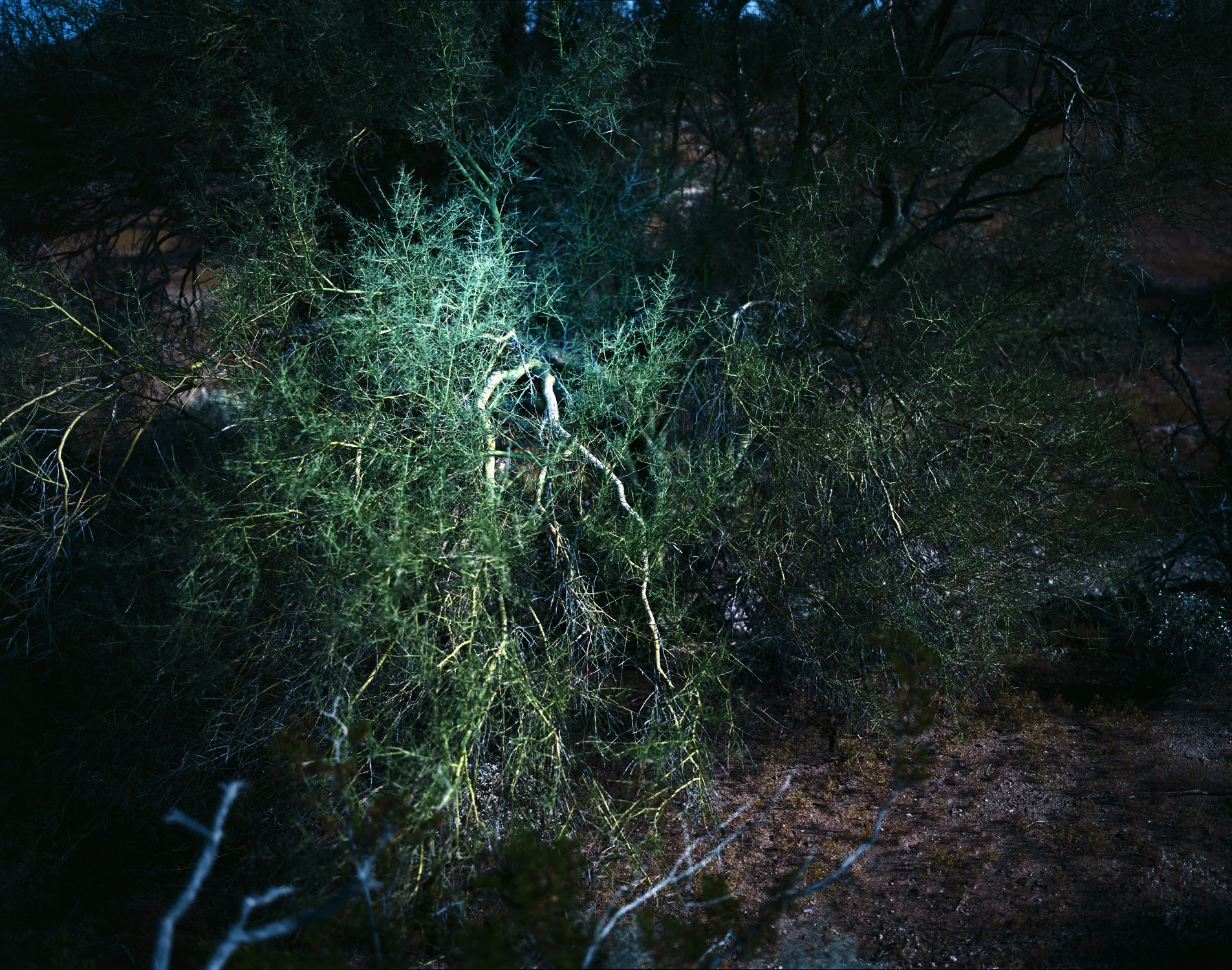  Untitled,&nbsp;Barry M. Goldwater “Bombing” Range, Arizona, 2012 