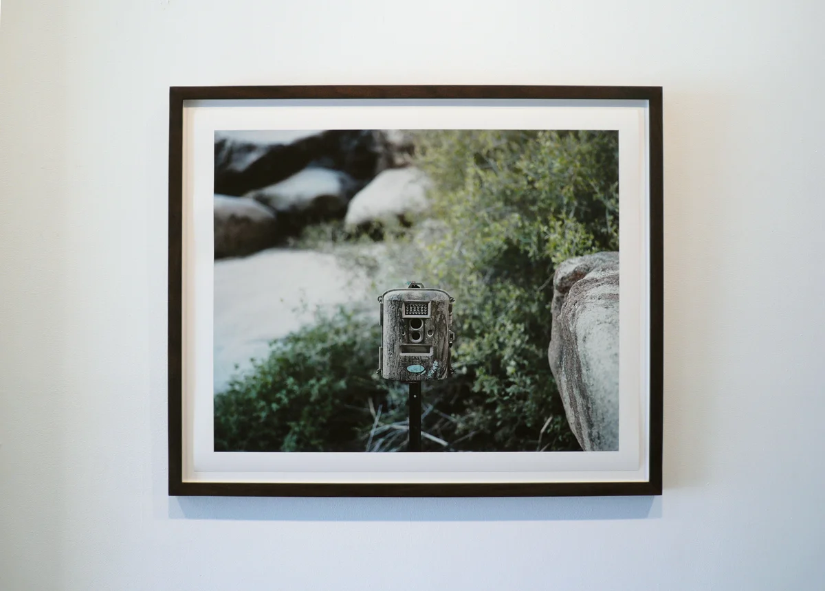 Taking..., Border Patrol Game Camera W157, Tinajas Altas, Arizona. 2013