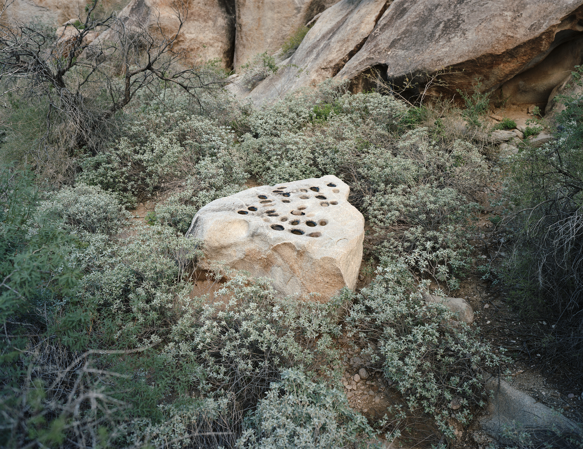 Metate, Tinajas Altas, Arizona