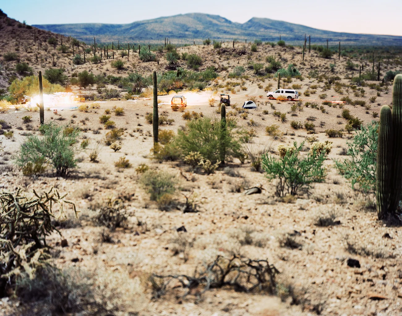 A Night in the Desert with Fellow Travelers, Barry M. Goldwater Bombing Range, Arizona