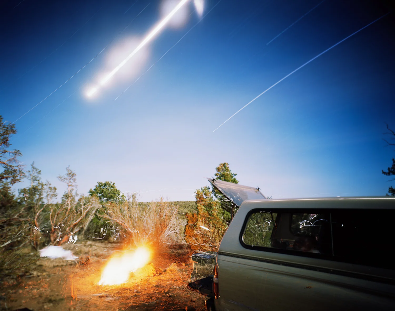 Scared to be Alone, Near Jacob Lake, Arizona