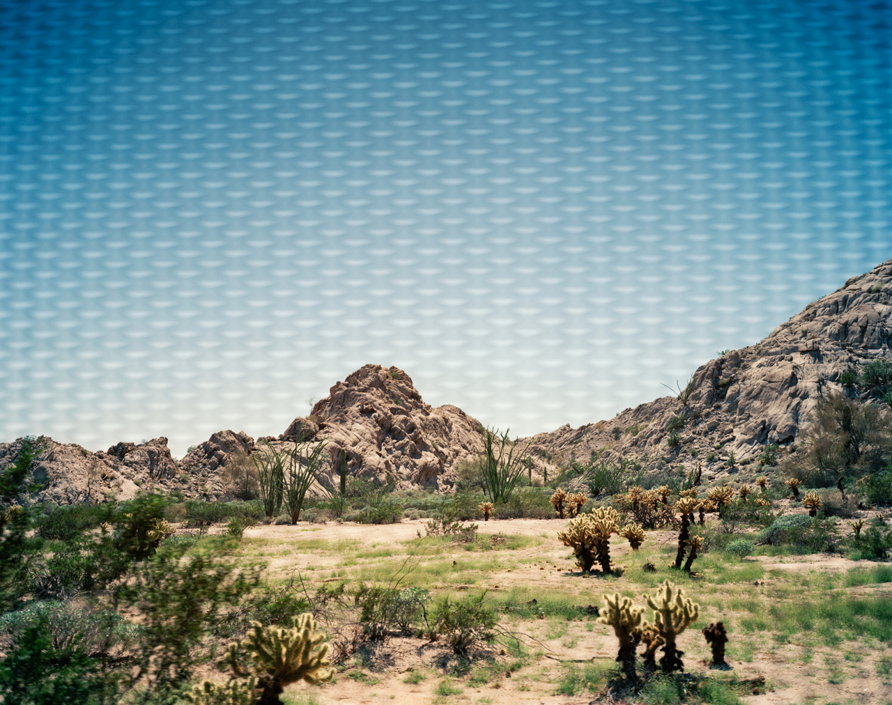 Looking Through, U.S.-Mexico Border Fence, Near Tinajas Altas, Arizona